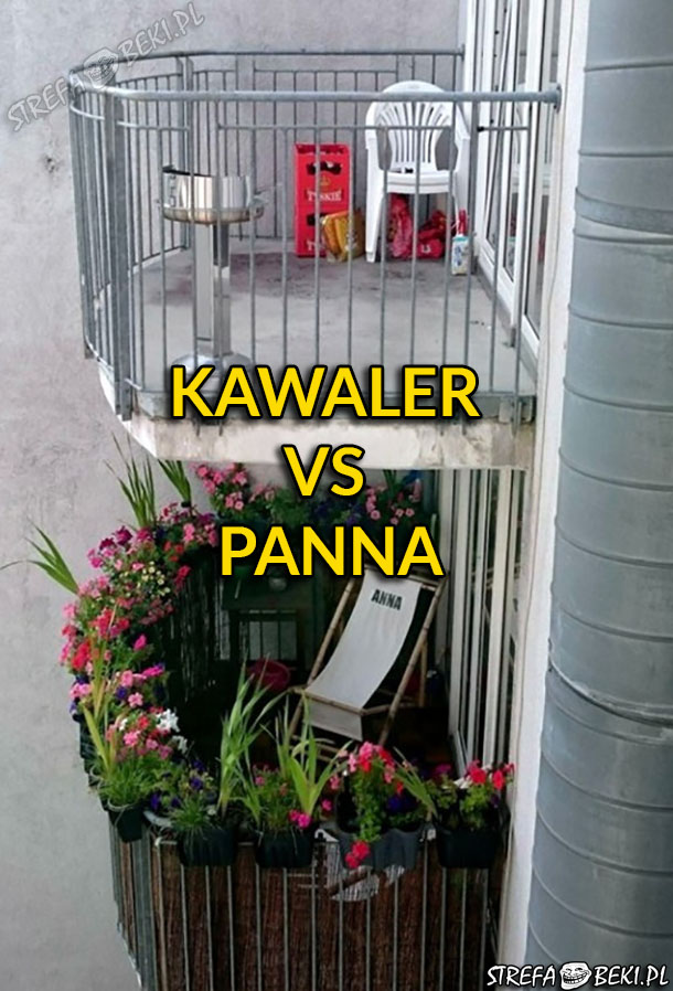 Kawaler vs panna