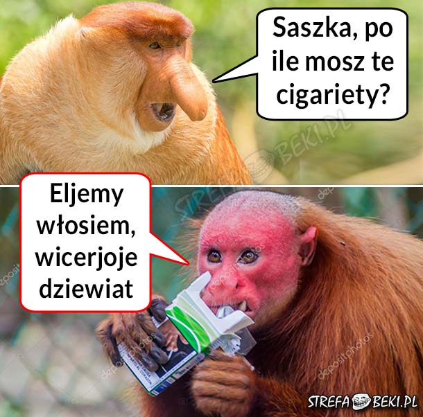 Kiedy Saszka przywozi papierosy z Ukrainy :D