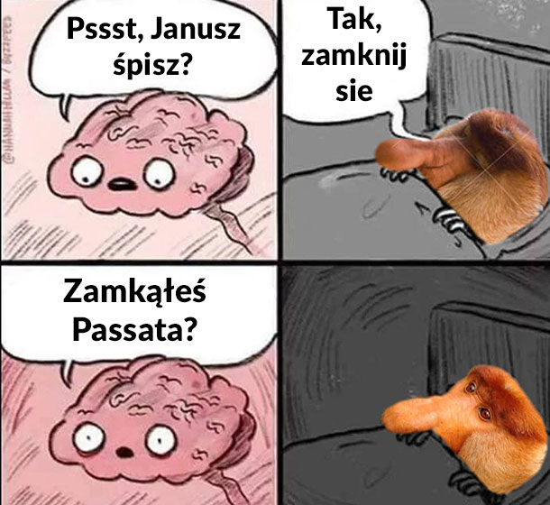 Mózg Janusza