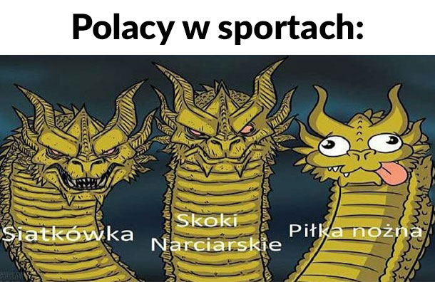 Polacy w sportach 