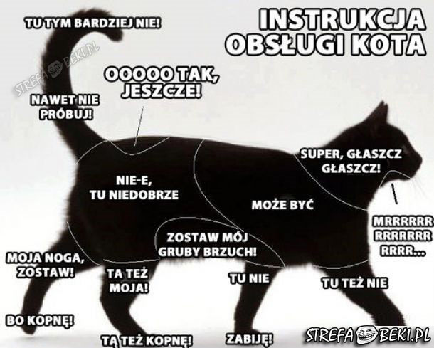 Instrukcja obsługi kota