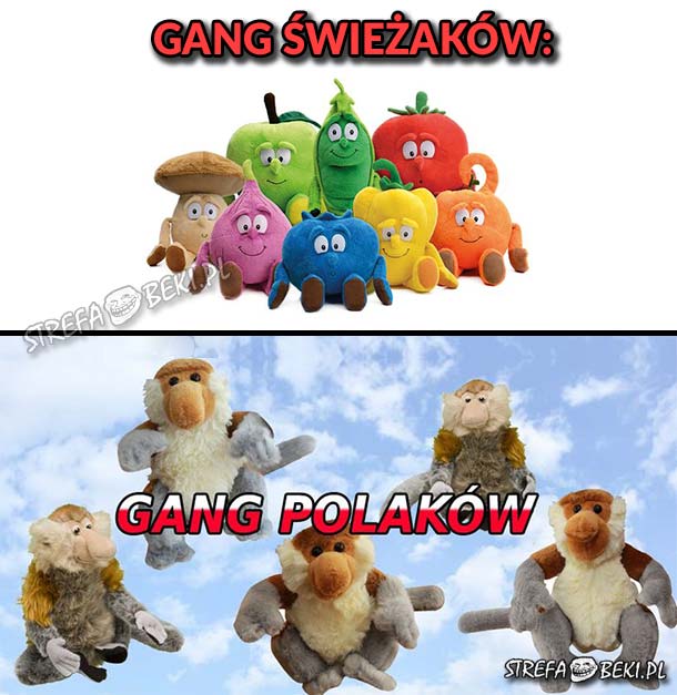 Gang Polaków :D