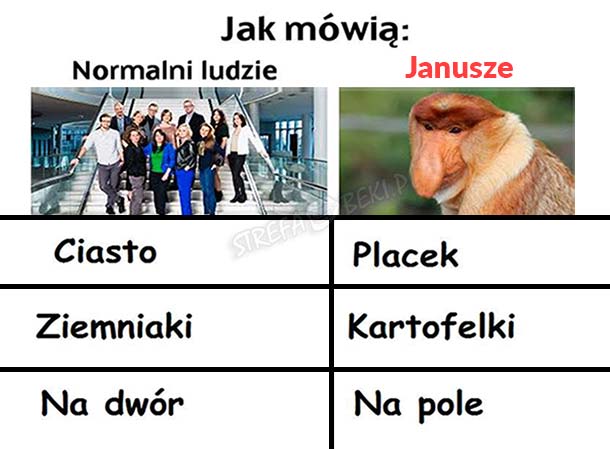 Słownik Januszowy 