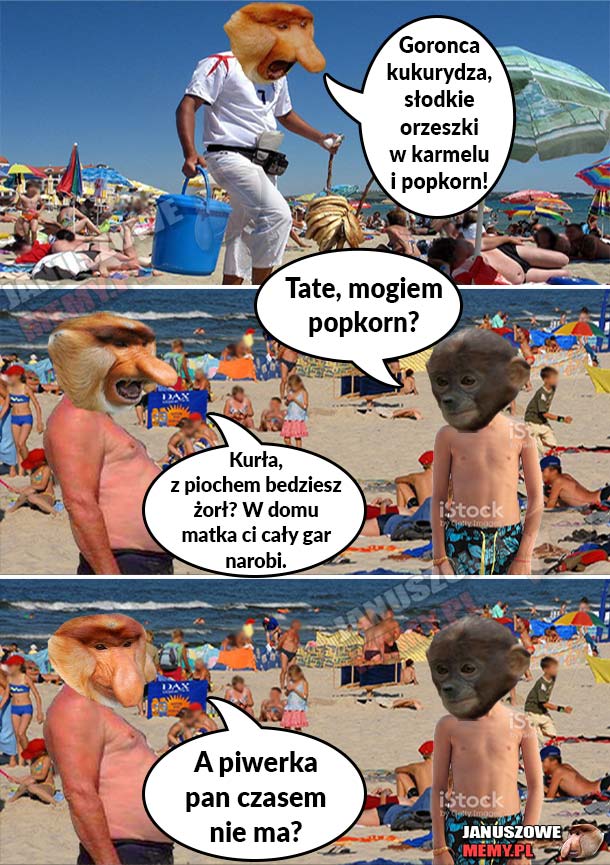 Janusz na plaży 