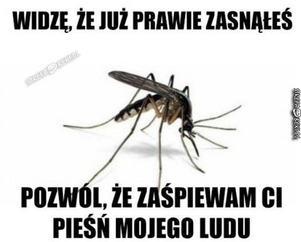 Tak myślą komary