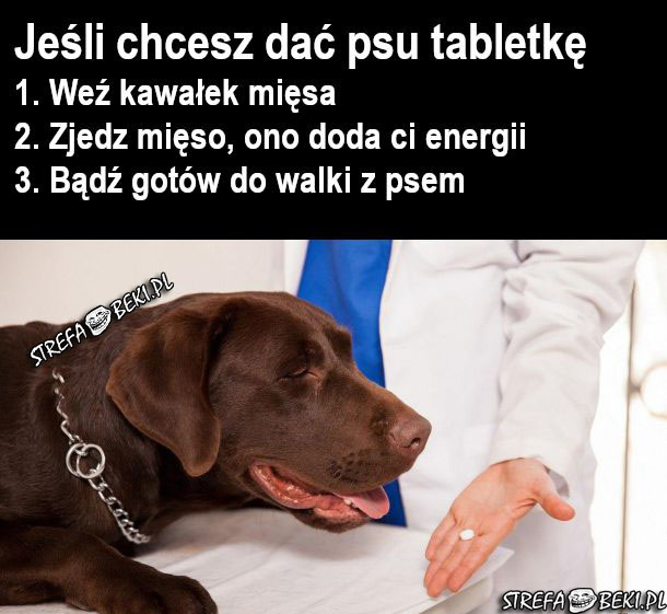Jeśli chcesz dać psu tabletkę