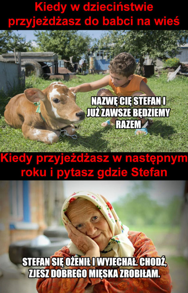 Biedny Stefan 