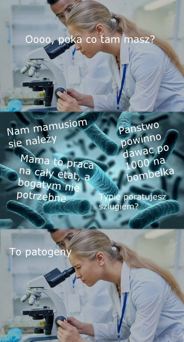 Patogeny 